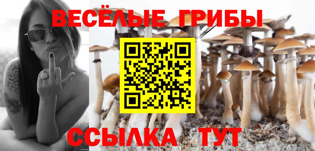 Семёнов  Псилоцибиновые грибы Psilocybe  Вход с VPN 