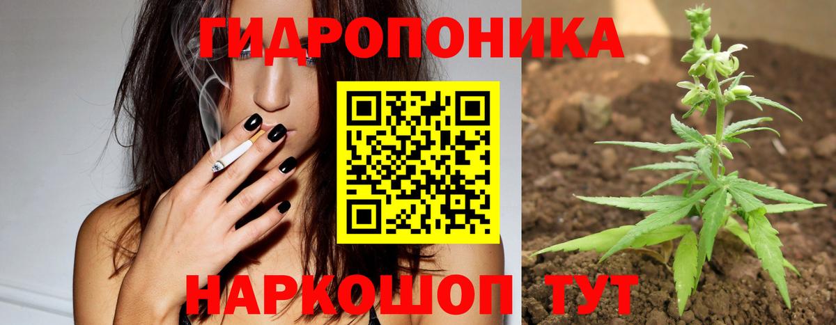 Семёнов  Канабис планчик  Шишки марихуана план  Шишки марихуана Amnesia  Вход с VPN 